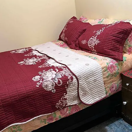 Room J Divine Villa And Resorts 5Mins To Ewr Airport And 4Mins To Penn Station Newark, New York